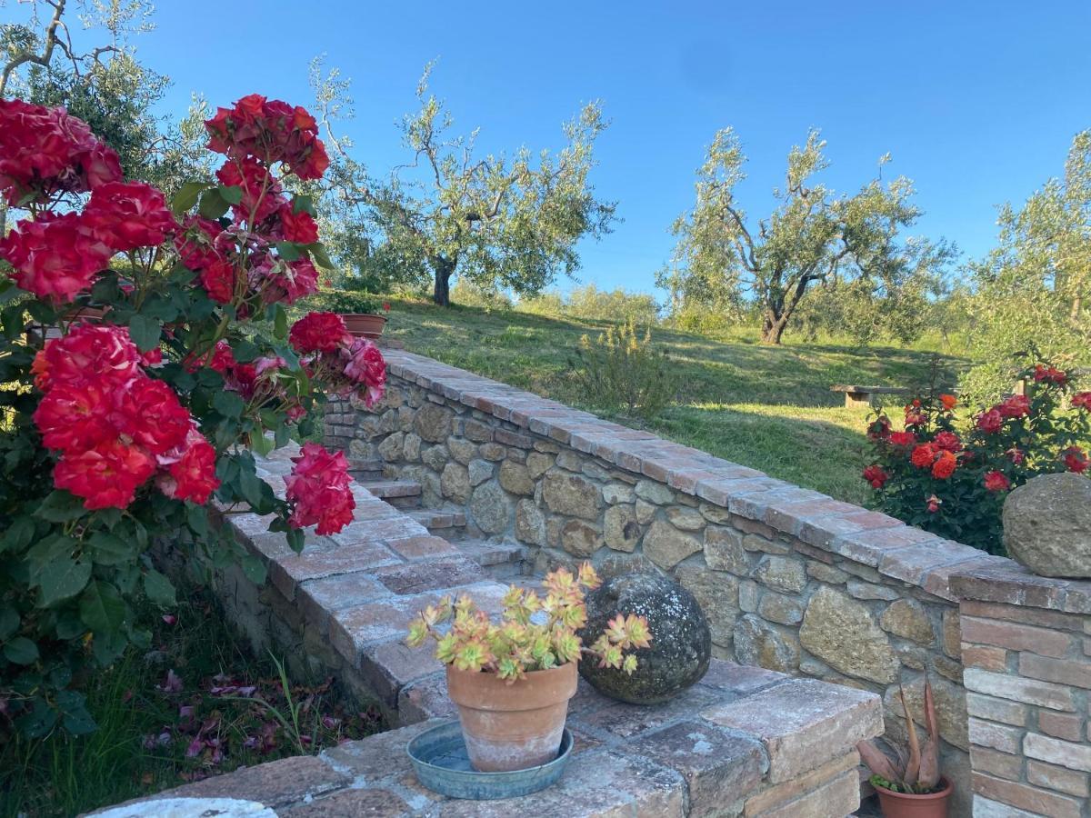 Agriturismo Casallario Volterra Eksteriør billede