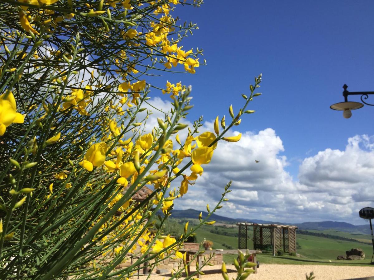 Agriturismo Casallario Volterra Eksteriør billede